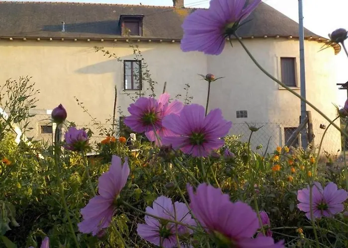 Manoir De La Guignardiere : The Ou Cafe ?