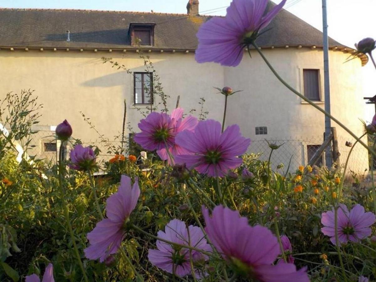 Appartement Manoir De La Guignardiere : The Ou Cafe ? Chavagne
